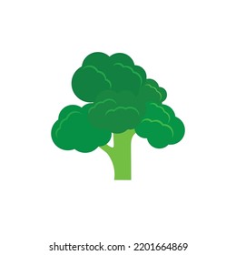 Broccoli icon template illustration vector