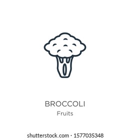 Broccoli icon. Thin linear broccoli outline icon isolated on white background from fruits collection. Line vector sign, symbol for web and mobile