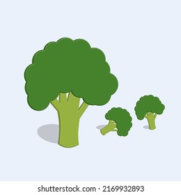 Broccoli icon vector cartoon illustration best for your picture decoration. Brassica oleracea