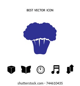 Broccoli icon, vector design element