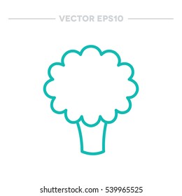 broccoli icon. vector illustration