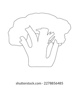 broccoli icon vector illustration design