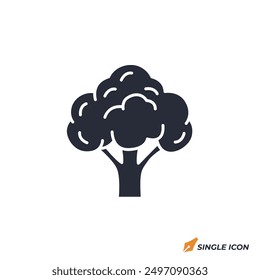 Broccoli icon vector illustration. Broccoli symbol isolated on white background.