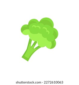 Broccoli Icon Vektor. Broccoli Gemüse frische Farm gesunde Lebensmittel. Broccoli bunter, realistisches Symbol für Gemüse auf weißem Hintergrund.