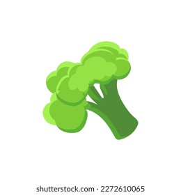 Broccoli Icon vector. Broccoli vegetable fresh farm healthy food. Broccoli colorful realistic icon vegetables symbol on white background.