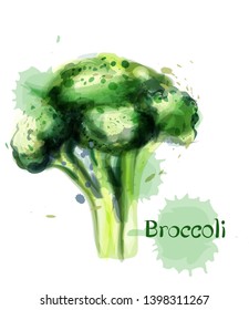 Broccoli icon Vector watercolor. delicious green vegetable template