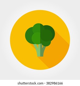 Broccoli. Icon for web and mobile application. Vector illustration on a button with a long shadow. Flat design style.