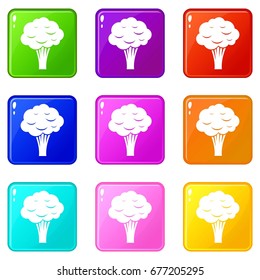 Broccoli icons of 9 color set isolated vector illustration