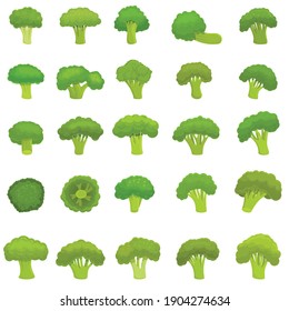 Broccoli icons set. Cartoon set of broccoli vector icons for web design