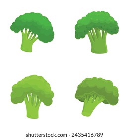 Broccoli icons set cartoon vector. Fresh green broccoli cabbage on stalk. Healthy nutrition