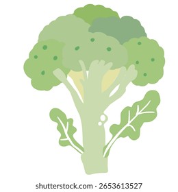 Broccoli Illustration of fresh vegetables hand drawn flat elements Organic Food Invitations, gifts, greeting cards, print, textile