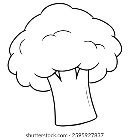 broccoli illustration hand drawn outline vector