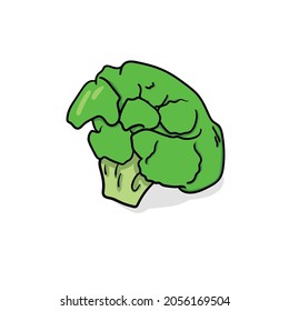 broccoli illustration hand drawn vector icon