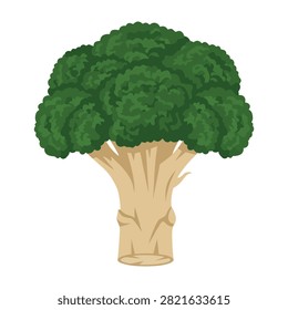 Broccoli illustration, a nutritious green vegetable, healthy food concept, tree crown shape