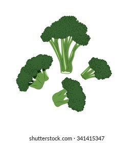 Broccoli illustration vector