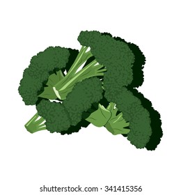 Broccoli illustration vector