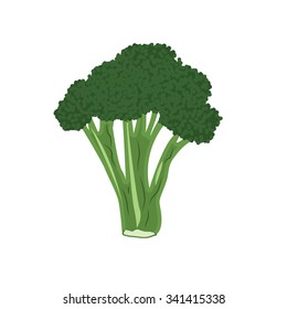 Broccoli illustration vector icon