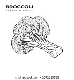 broccoli illustration for vegetarians premium vector