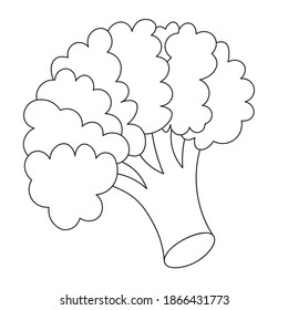 Broccoli. Inflorescence of asparagus cabbage. Vector illustration. Outline on an isolated white background. Doodle style. Sketch. Blooming stem. Vegan food. A healthy vegetable. Harvesting. 