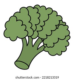 Broccoli. Inflorescence of green cabbage. Color vector illustration. Cartoon style. Flowering stem. Useful vegetable. Seasonal organic product. Isolated background. Harvesting. Vegan food. 