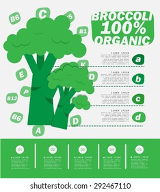 Broccoli Infographic , Vegetables, vector illustration