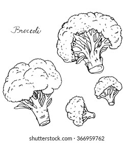broccoli, ink drawing, hand drawn vector illustration