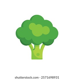 Broccoli isolated flat vector illustration on white background