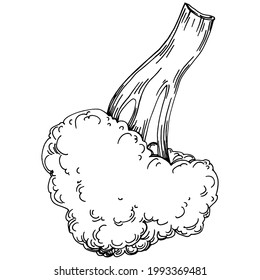 Broccoli Isolación ilustración a mano. Estilo grabado de verduras. Esbozar el dibujo de comida vegetariana. Producto del mercado agrícola. Lo mejor para el diseño logotipo, menú, etiqueta, icono, sello.