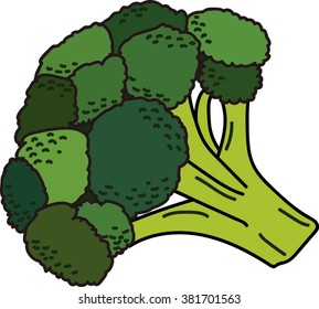 Broccoli Isolated on White.