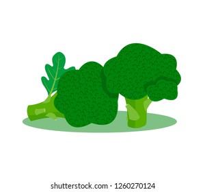 Broccoli isolated on white background.