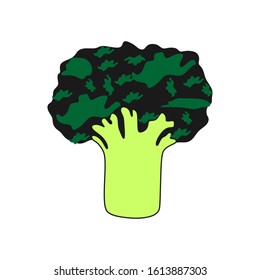 Broccoli isolated on white background. Vector illustration of a fresh vegetable in a flat style.