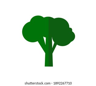 Broccoli isolated on white background. Vitamins, vegetables. Vector icon.