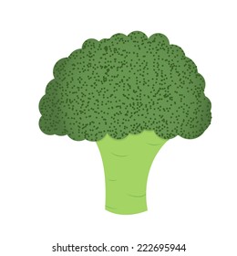 Broccoli. Broccoli isolated on a white background.