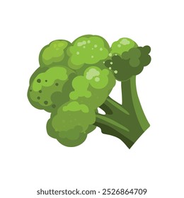 Broccoli isolated on white background.