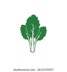 broccoli isolated on white background