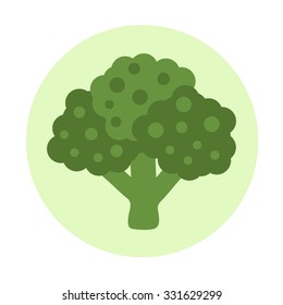 Broccoli isolated on white background. Vector illustration. Flat design