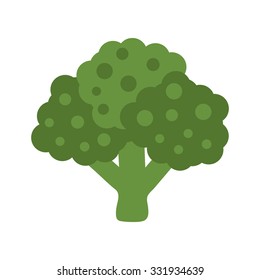 Broccoli isolated on white background. Vector illustration. Flat design