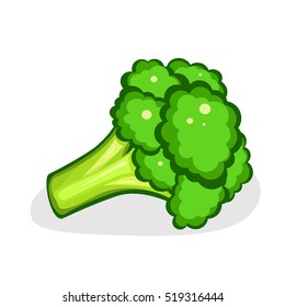 Broccoli isolated on white background. Vector cartoon illustration. Fresh green Vegetable, Vegetarian, vegan Healthy organic food