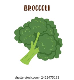 Broccoli isolated on white. Broccoli vegetable in flat style.