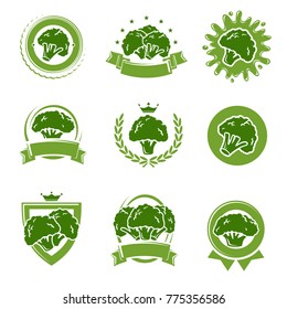 Broccoli labels and elements set. Vector