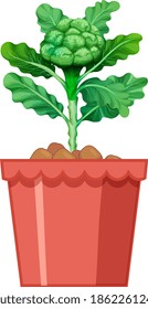 Broccoli with leaves in red pot isolated on white background illustration