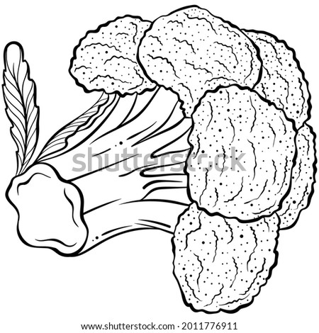 Broccoli lies. Hand drawn vector illustration with black outline isolated on white background. Collection of fresh vegetables. Applicable for restaurant menu, coloring book, print.