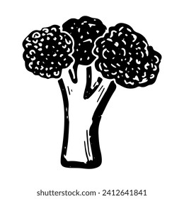 Broccoli. Line art, doodle, texture outline. Hand drawing. Vector element.