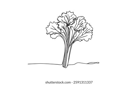 Broccoli line art vector art