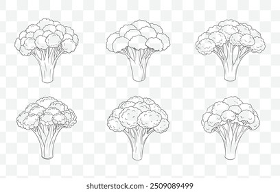 Conjunto de vetor de arte de linha de brócolis Ilustrações detalhadas de desenhos de brócolis para alimentos saudáveis e gráficos de produtos orgânicos