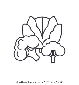 Broccoli line icon concept. Broccoli vector linear illustration, symbol, sign