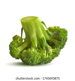 Broccoli low poly. Fresh, nutritious, tasty broccoli. Delicious and healthy lunch. Vector illustration. Broccoli in triangulation technique.