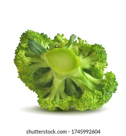 Broccoli low poly. Fresh, nutritious, tasty broccoli. Delicious and healthy lunch. Vector illustration. Broccoli in triangulation technique.