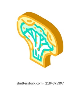 broccoli muffins vector de ícono isométrico. signo de muffins de brócoli. ilustración de símbolo aislado