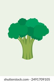 broccoli on a light background